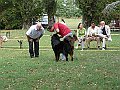 img 145